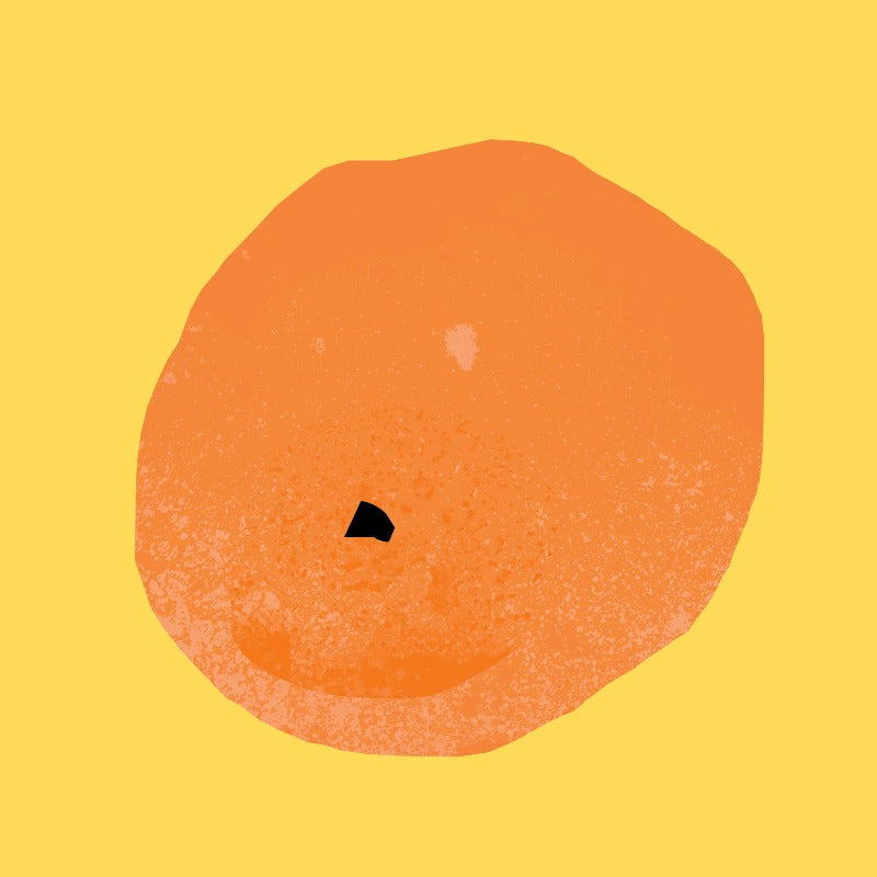 Orange Essential Oil from The Nature of Things