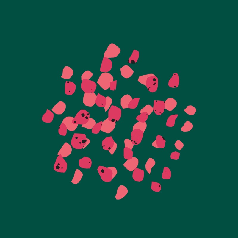 Pink Pepper CO2 Extract from The Nature of Things