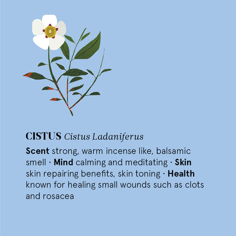 The Nature of Things - Cistus Essential Oil - Benefits