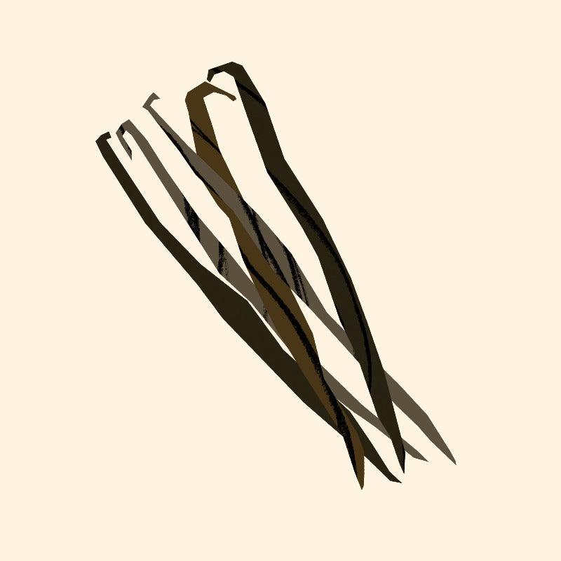 Organic Vanilla CO2 Extract from The Nature Of Things
