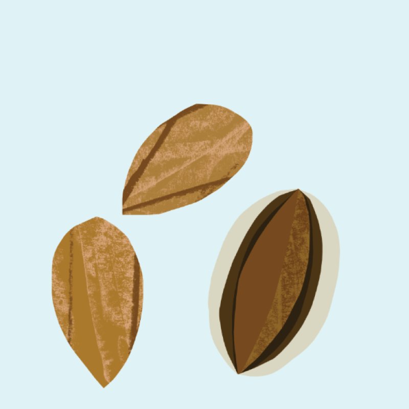 Organic Almond Oil from The Nature of Things