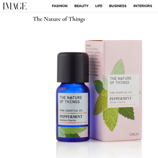 Image Magazine, Dec 2019
